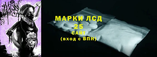 ПСИЛОЦИБИНОВЫЕ ГРИБЫ Бородино
